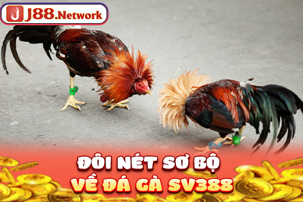 Đôi nét sơ bộ về đá gà SV388