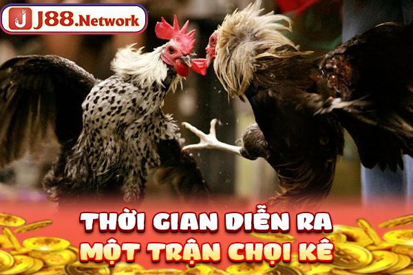 Thời gian diễn ra một trận chọi kê